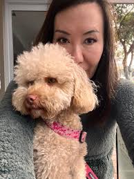 Jilli has developed a habit of licking her front paws. She is 4 and I am  transitioning her from overweight prescription food to Iam's with chicken.  She loves chicken so I don't