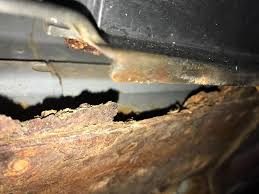 Image result for Sand Storm 2006 SRX