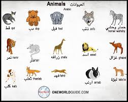 Animals In Arabic Bird Names In Arabic One World Guide Learn Arabic Arabic Phrases Arabic Vocabulary Animals Like Animals I Love Cats