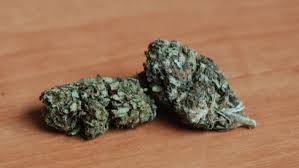 Cbd Flower Strain Review White Widow 14 41 Cbd From Cbdhemp One