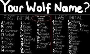 130+ sweaty fortnite names with details name&names. Once Apon His Mates Opening Act Act 1 In 2021 Wolf Name Funny Name Generator Funny Names