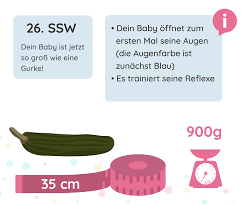 26 Ssw Schwangerschaftswoche Elternkompass