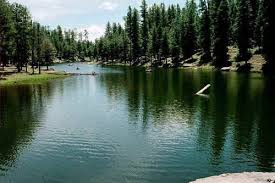 Woods Canyon Lake We Would Often Do Some Trout Fishing Here Arizona Adventure Arizona Travel Scenic Travel