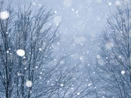 Snow Falling On Trees At Dusk Photographic Print By Brian Gordon Green Snow Green Art Winter Scenery