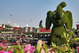 Big discounts on desert botanical garden. Dubai Miracle Garden Everything You Need To Know Attractions Time Out Dubai