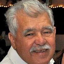 Audali R. Torres Obituary