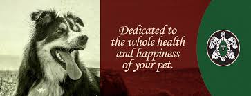 I have also graduated from the chi. Integrative Animal Hospital Of Central Florida Home Facebook