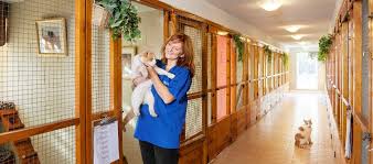 Check spelling or type a new query. Cat Boarding And Superior Care Royal Pets Hotel Spa