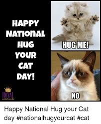 We need pictures of cats. National Hug Your Cat Day Is Jun 4th Hug Your Cat Day Cat Day National Cat Day