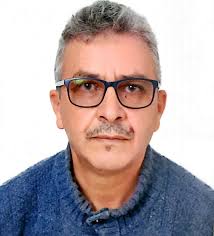 ما دور المعارضة في المجالس الترابية من خلال القانون 113/14؟ - azulpress.ma