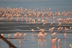 SEWRI JETTY (2026) All You Need to Know ...