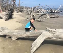 Jekyll Island With Kids Top Things To Do On This Georgia Island Mommypoppins Things To Do With Kids