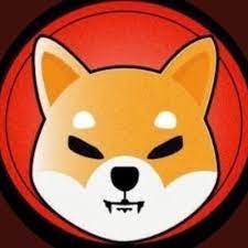Shiba Inu Shibainushop Twitter