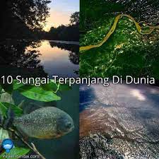 Panjangnya mencapai 4.880 km dan alirannya menjadi pemisah antara tiga negara sekaligus, yaitu argentina, brasil, dan paraguay. Top 10 Sungai Terpanjang Di Dunia Pinterpandai