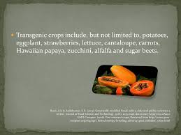 We did not find results for: Genetically Modified Organisms Good Bad Or Both Ppt Download