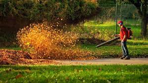 Why Are Leaf Blowers So Loud
