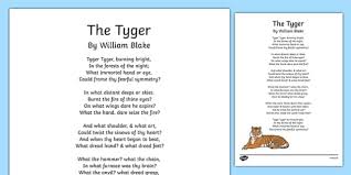Tyger is the thirtieth major release and seventeenth studio album by tangerine dream. The Tyger Poem Print Out Teacher Made