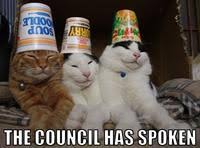 People call me the mage of flowers. The Council Will Decide Your Fate Know Your Meme