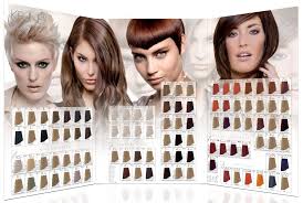 keune blonde hair color chart www bedowntowndaytona com