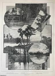 Views in Florida. A collection of original woodcut engravings, with brief accompanying text overleaf, from the Illustrated London News, 1887. A rare, original print from The Illustrated London News, carefully removed and