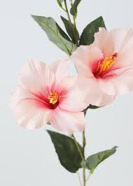 Check spelling or type a new query. Hibiscus Silk Flower Spray In Light Pink 31 Tall X 5 Blooms Tropical Artificial Flowers Light Pink Flowers Flower Aesthetic