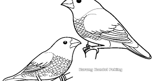 Sketsa gambar burung hantumerakgarudaelang gambarcoloring via gambarcoloring.blogspot.com. Contoh Gambar Mewarnai Gambar Burung Nuri Kataucap