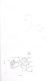 Image result for Tannodia swynnertonii