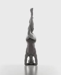 Garudasana In Sirsasana I Headstand With Eagle Legs I Photo Credit David Martinez Inspiration Yoga Photoshoot Yoga Photography Beautiful Yoga
