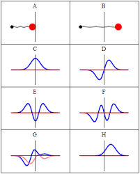 Quantum Harmonic Oscillator Wikipedia