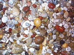 Take Me Back Oregon Beaches Moonstone Beach Oregon Coast