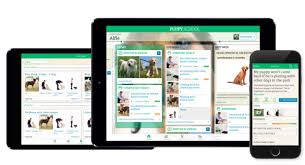 There's a huge amount of online information on this subject, and every owner/trainer has their own (possibly unique) 'spin' on it, but you don't need. Puppy School App A Personalised Puppy Training App Happy Buddies