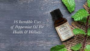 I've already mentioned the many health benefits of peppermint oil and in this article i want to specifically discuss. 16 Incredible Uses Of Peppermint Oil For Health Wellness Kama Ayurveda