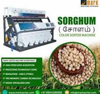 Sorghum Color Sorter Machine / Millet Color Sorter / Grains Sorting