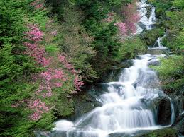 Images Of Waterfalls And Flowers Beautiful Amazing Waterfall Flowers From Japan Hd Wallpapers Photos Waterfall Wallpaper Waterfall Scenery Waterfall Pictures