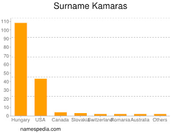 Glen kamara, 25, from finland rangers fc, since 2018 defensive midfield market value: Kamaras Namensbedeutung Und Herkunft