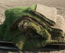 Bermuda grass calendar please see new calendar in description. Caring For Bermuda And Zoysia Grasses Turf Preserve Llc