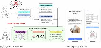 Image result for COPD Exacerbation Decision Tool