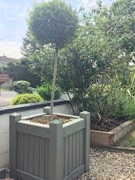 Check spelling or type a new query. Extra Large Wooden Planter With Tree Soil For Sale In Swords Dublin From Aimee101