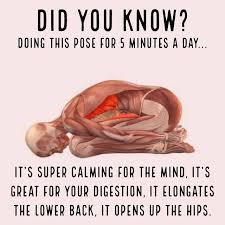 My Weblog Healthy Tips Health And Fitness Articles Yoga Fitness Health Fitness