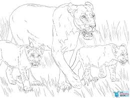 Lioness With Cubs Coloring Page Free Printable Coloring Pages Intended For Lion And Lioness Coloring Pages Printable Free Download Download More Free Printabl