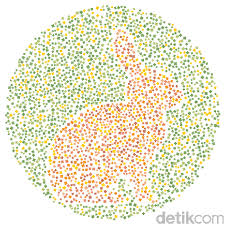 Check spelling or type a new query. Tes Buta Warna Bisakah Kamu Menebak Semua Hewan Dalam Gambar Ini