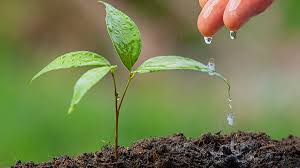 World Environment Day 2023: विश्व पर्यावरण दिवस मनाने की शुरुआत कैसे हुई?  जानें इतिहास और थीम | World Environment Day 2023 Theme, History,  Significance and Why Celebrated - Hindi Oneindia