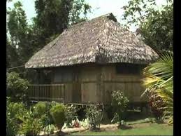 Check spelling or type a new query. Vivir En La Selva Youtube