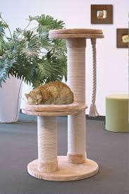 Neben den passenden produktempfehlungen und kauftipps finden sie hier auch vieles weitere interessante über katzen. Azoona Kratzbaum Aaron 56 5x113cm In Beige Zoo Co