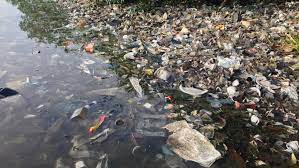 Court suspends giuliani's law license in d.c. Rio De Janeiro S Guanabara Bay Is Polluted And That S Making It Hard To Catch Fish In Its Once Crystalline Waters