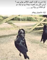 Naheed Imran (@naheedimran12)