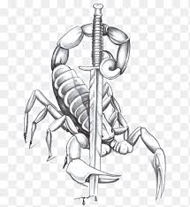 We did not find results for: Scorpion Tattoo Png Images Pngegg