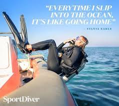 We did not find results for: 5 Inspiring Quotes Scuba Divers Will Love Sport Diver