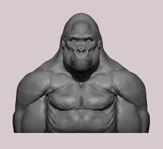 Western Lowland Gorilla Western Lowland Gorilla Gorilla Lowland