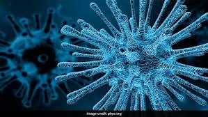 Image result for Virectaria